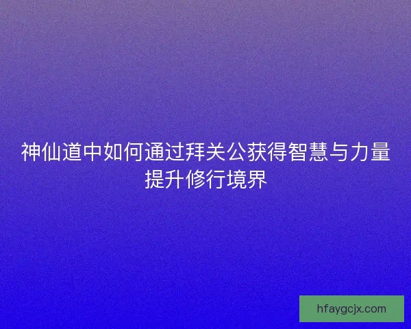 神仙道中如何通过拜关公获得智慧与力量提升修行境界